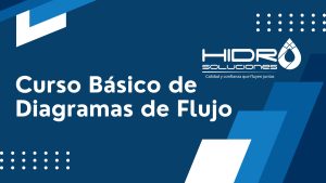 Curso sobre Diagramas de Flujo